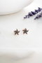 Heliophilia Silver Pendientes de Plata de Ley 925 Negros Stud NRZ99417